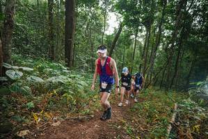 BIB: 353
                            <button type="button" onclick="openModal(22447211)" class="btn btn-primary btn-sm float-right btn-popup" data-toggle="modal" data-target=".modal-high-quality">
                        <i class="fas fa-shopping-cart"></i> Add to Cart
                    </button>
                                            <button type="button" onclick="isThisMe(22447211, true)" class="btn btn-success btn-sm float-right btn-popup btn-isme hidden" data-toggle="tooltip" data-placement="bottom" title="นี่คือรูปของคุณใช่ไหม คลิกที่นี่เพื่อเอาเข้าอัลบั้ม">
                        <i class="fas fa-plus"></i> Add to album
                    </button>
                    <button type="button" onclick="isThisMe(22447211, false)" class="btn btn-warning btn-sm float-right btn-popup btn-isnotme hidden">
                        <i class="fas fa-ban"></i> Remove from album
                    </button>